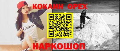 гидра Будённовск