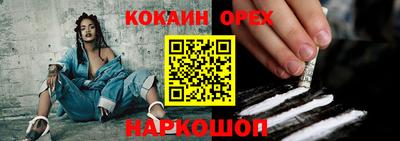 гидра Будённовск
