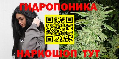 гидра Будённовск